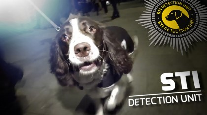 Sniffer dogs track down sexually transmitted infections in members of the public