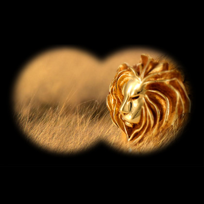 10 Lions Health Hopefuls for 2016