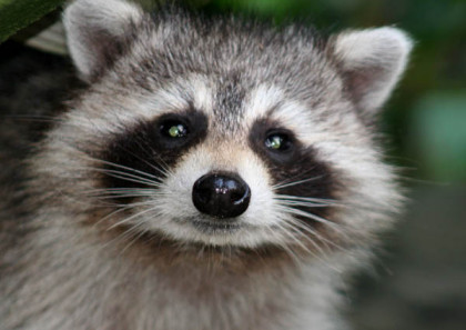 “1.Your concepts stinks. 2.They loved it. 3. Now what?” – by Olly Caporn