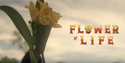 Flower that blooms once a year reminds Amazonian women about their yearly pap test